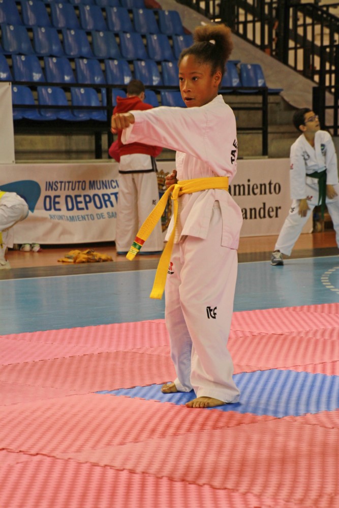 Taekwondo Dic 2016 (157).jpg